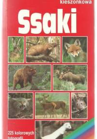 Ssaki. Encyklopedia kieszonkowa - praca zbiorowa