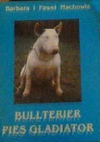 Bullterier pies gladiator - Barbara Mach