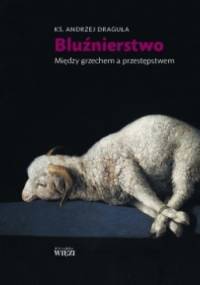 Bluźnierstwo. Między grzechem a przestępstwem - Andrzej Draguła