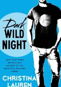 Dark Wild Night - Christina Lauren