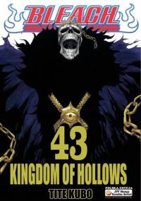 Bleach 43. Kingdom of hollows - Tite Kubo