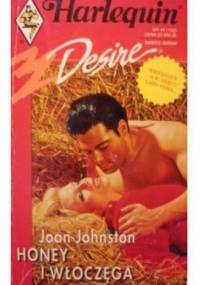 Honey i włóczęga - Joan Johnston