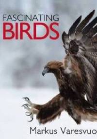 Fascinating birds - Markus Varesvuo