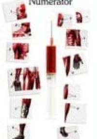 Numerator - Małgorzata Kondas