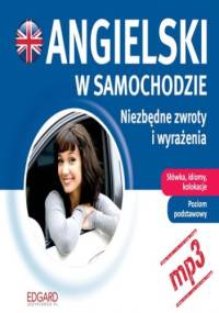 Angielski w samochodzie. Niezbędne zwroty i wyrażenia