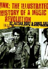 Punk: The Illustrated History of a Music Revolution - Adrian Boot, Chris Salewicz