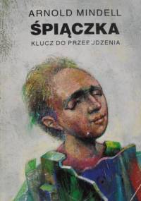 Śpiączka. Klucz do przebudzenia - Arnold Mindell