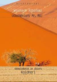 Uduchowiony Mr. Raj - Wojciech Albiński