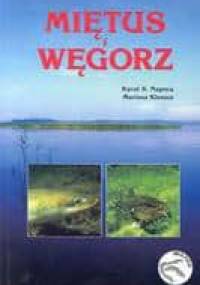 Miętus i węgorz - Karol S. Napora