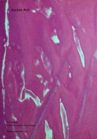 Xerxes Ach - Hans Jürgen Balmes