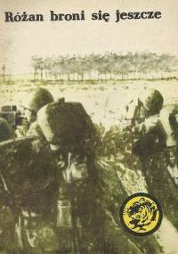 Różan broni się jeszcze - Juliusz Malczewski