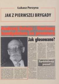 Jak z pierwszej brygady. Opowieść o Andrzeju Ostoi-Owsianym - Łukasz Perzyna