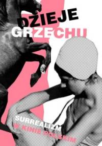 Dzieje grzechu. Surrealizm w kinie polskim - Kamila Wielebska, Kuba Mikurda