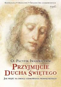 Przyjmijcie Ducha Świętego. Jak wejść na drogę uzdrowienia wewnętrznego - O. Pacyfik Iwaszko