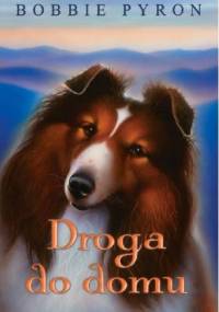 Droga do domu - Bobbie Pyron