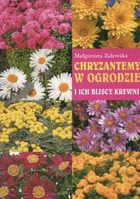 Chryzantemy w ogrodzie i ich bliscy krewni - Małgorzata Zalewska