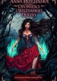 Opowieści z Wilżyńskiej Doliny - Anna Brzezińska