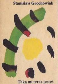 Taka mi teraz jesteś - Stanisław Grochowiak