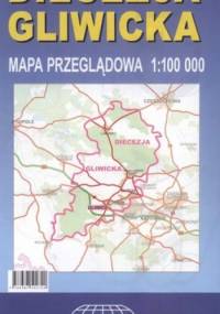 Diecezja gliwicka. Mapa przeglądowa. 1:100 000 Witański