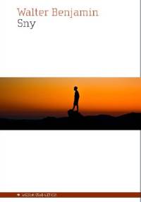 Sny - Walter Benjamin