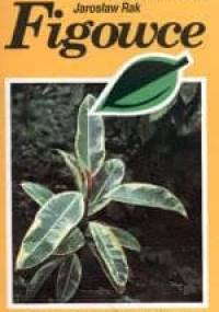Figowce - Jarosław Rak, Ewa Brzozowska-Michalak