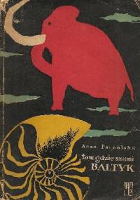 Tam gdzie szumi Bałtyk - Anna Pęczalska