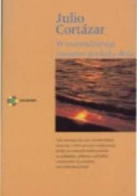 W osiemdziesiąt światów dookoła dnia - Julio Cortázar