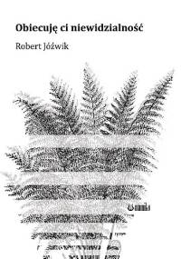 Obiecuję ci niewidzialność - Robert Jóźwik