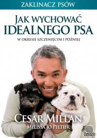 Jak wychować idealnego psa. W okresie szczenięcym i później - Cesar Millan, Melissa Jo Peltier