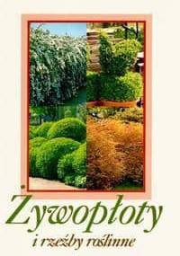 Żywopłoty i rzeźby roślinne - Waleza