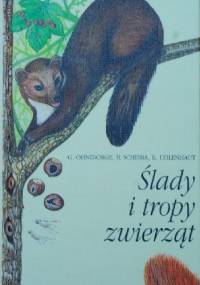 Ślady i tropy zwierząt