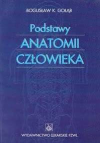 Podstawy anatomii człowieka - Gołąb Bogusław K. - Bogusław K. Gołąb