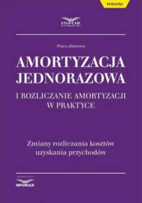 Amortyzacja jednorazowa i rozliczanie amortyzacji w praktyce - Pl Infor