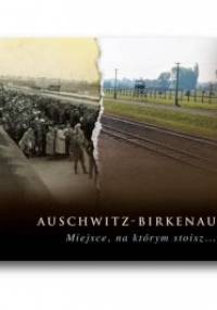 Auschwitz-Birkenau. Miejsce, na którym stoisz - Jadwiga Pinderska-Lech, Paweł Sawicki