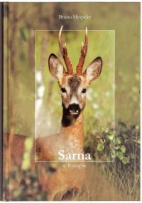 Sarna w Europie - Bruno Hespeler