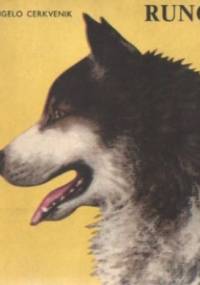 Runo - Angelo Cerkvenik