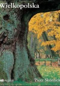 Wielkopolska - Piotr Skórnicki