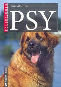 Psy - David Alderton