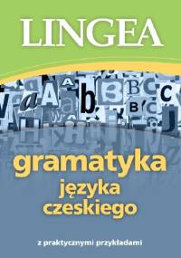 Gramatyka języka czeskiego z praktycznymi przykładami - praca zbiorowa