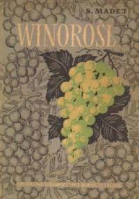 Winorośl - Stanisław Madej