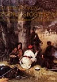 Sztuki siostrzane: malarstwo a literatura w Polsce w drugiej połowie XIX wieku - Waldemar Okoń