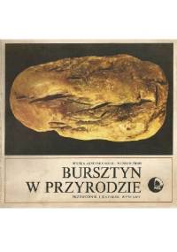 Bursztyn w przyrodzie. Przewodnik i katalog wystawy