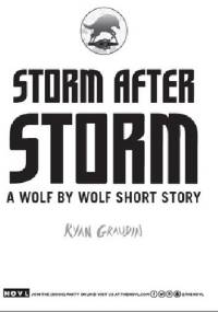 Storm After Storm - Ryan Graudin