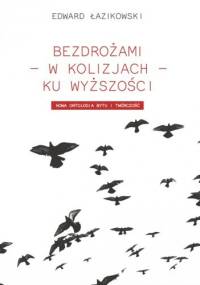 Bezdrożami - w kolizjach - ku wyższości. Nowa ontologia i twórczość - Edward Łazikowski
