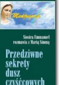 Przedziwne sekrety dusz czyśćcowych - Emmanuel Maillard