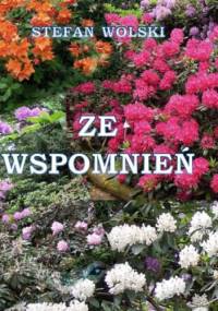 Ze wspomnień - Stefan Wolski