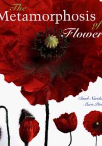 The Metamorphosis of Flowers - Marie Perennou, Claude Nuridsany