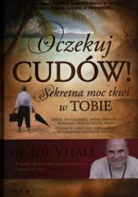 Sekretna moc tkwi w Tobie - Joe Vitale