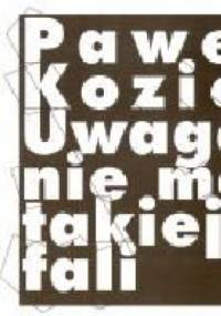 Uwaga, nie ma takiej fali - Paweł Kozioł