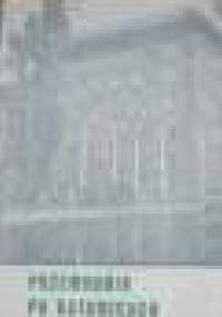 Przewodnik po Katowicach - praca zbiorowa